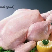 استخدام فیله زن و کارگر ساده