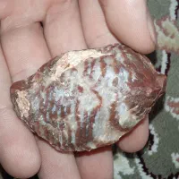 سنگ قیمتی جواهرات|جواهرات|کوهدشت, |دیوار
