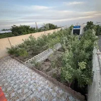 همراه برای پیاده روی