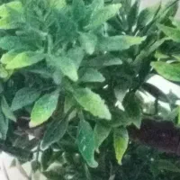 اجاره مغازه ۱۹ متری