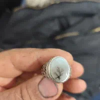 شجر|جواهرات|کرمانشاه, |دیوار