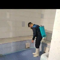 شرکت سمپاشی سوسک و ساس با ضمانت هر مناطق شهر مشهد|خدمات نظافت|مشهد, شاهد (شهرک غرب)|دیوار