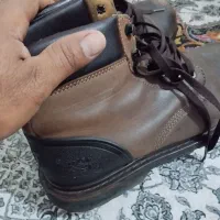 کفش در حد نو|کیف، کفش، کمربند|شوشتر, |دیوار