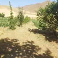 زمین‌کشاورزی