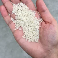 برنج کشت یکطارمهاشمی|خوردنی و آشامیدنی|یزد, |دیوار