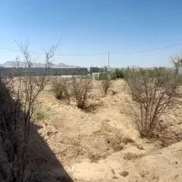 فروش زمین ۱۸۰۰ متری در شاهین شهر (جهاد آباد)|فروش زمین و ملک کلنگی|شاهین‌شهر, برخوار غرب|دیوار