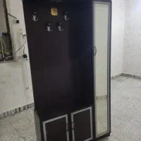 جاکفشی سالم