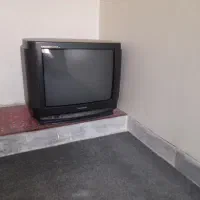 تلویزیون