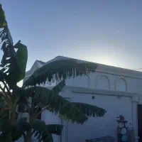 کاشیکاری کاشیکار