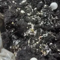 کود کمپوست رایگان