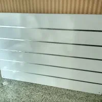 ویترین به همراه رگال