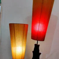 آباژور سالم