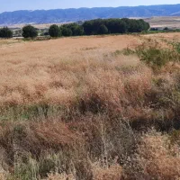 زمین-آبی-کله-جوب-ایوان