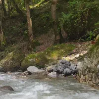 زمین مسکونی