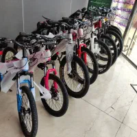 دوچرخه حرفه ای