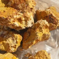 تور اکتشاف،ماجراجویی ،مهیج با رگه های طلا در طبیعت