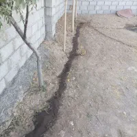 کود کشاورزی هیومیک اسید|خدمات باغبانی و درختکاری|تبریز, |دیوار