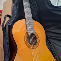 گیتار|گیتار، بیس، امپلیفایر|شیراز, دلجو|دیوار