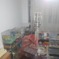 پرنده سرای زاهدی|پرنده|سیستان, |دیوار