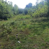 1050متر زمین روستایی