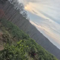 سرایداری کارگر باغ