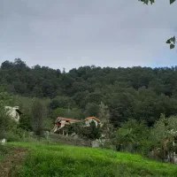 ویلا-در-دل-جنگل