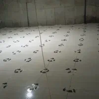 سنگ کاری و کاشی کاری|خدمات پیشه و مهارت|اردبیل, |دیوار