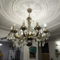 لوستر شاخه ای در حد نو کاملاً سالم