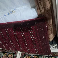 ۲جفت پشتی|پشتی|تربت‌حیدریه, ترمینال|دیوار