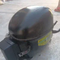 موتور سوخته یخچال هیمالیا دانفوس اصل