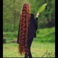 موهاتو از ساقه میخریم خرید باکوتاهی رایگان|آرایشی، بهداشتی، درمانی|کرج, گوهردشت|دیوار