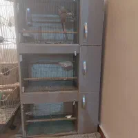 قفس پرنده ام دی اف دستساز