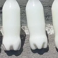 دوغ گوسفندی تلمی