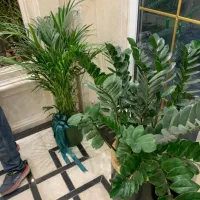 خدمات باغبانی در محل تعویض خاک گلدان منزل وشرکت|خدمات باغبانی و درختکاری|تهران, پاسداران|دیوار