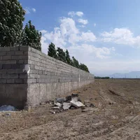 باغ ۱۰۰۰ متری گلسار شهرک گلستان ، سند ششدانگ مجوز|فروش زمین و ملک کلنگی|هشتگرد, سیف آباد|دیوار