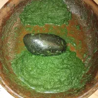 درار نمک سبز|خوردنی و آشامیدنی|رشت, استادسرا|دیوار