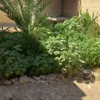 خانه-ویلایی-85متری-املاک-قصر-نور