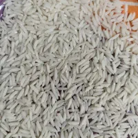 برنج ایرانی هاشمی