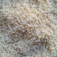 سلام نمیدانم هاشمی بشرط پخت