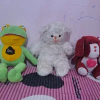 عروسک|اسباببازی بچه|رشت, معلولین|دیوار