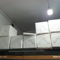 فیبر|ظروف نگهدارنده، پلاستیکی، یک‌بارمصرف|ایرانشهر, |دیوار