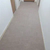 موکت دو لایه  زخیم|موکت|تبریز, |دیوار