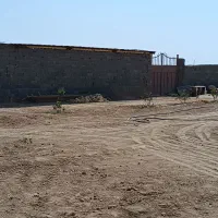 فروش زمین برای احشاروغیره