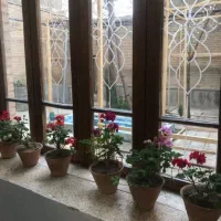 نیروی خدماتی و آشپز