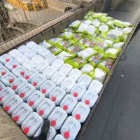 کود ارگانیک / افزایش باردهی ۲۵٪