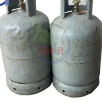 دو عدد کپسول بوتان