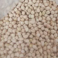 نخودمحلی|خوردنی و آشامیدنی|مرودشت, مجد آباد|دیوار