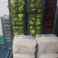 راننده نیسان با ماشین ویژه حمل بار میوه شیفت شب