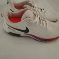 کفش فروشی|کیف، کفش، کمربند|مه ولات, |دیوار