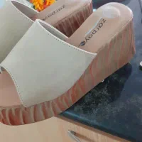 کفش طبی|کیف، کفش، کمربند|تربت جام, میان جام|دیوار